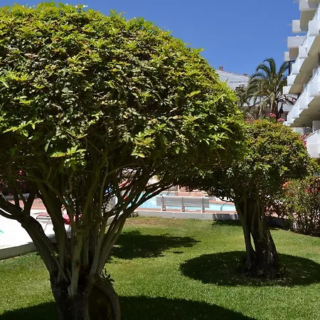 Appartement Don Quijote *