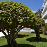 Apartamento Don Quijote *