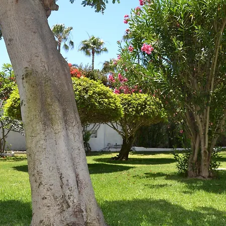 Don Quijote Playa del Ingles (Gran Canaria)