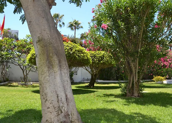 Don Quijote Playa del Ingles (Gran Canaria)