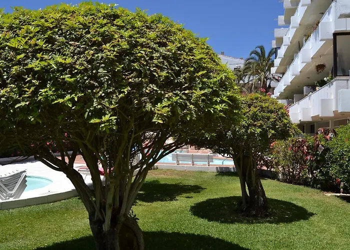 Apartment Don Quijote *